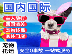 西昌青山航空快运国际宠物托运 【国